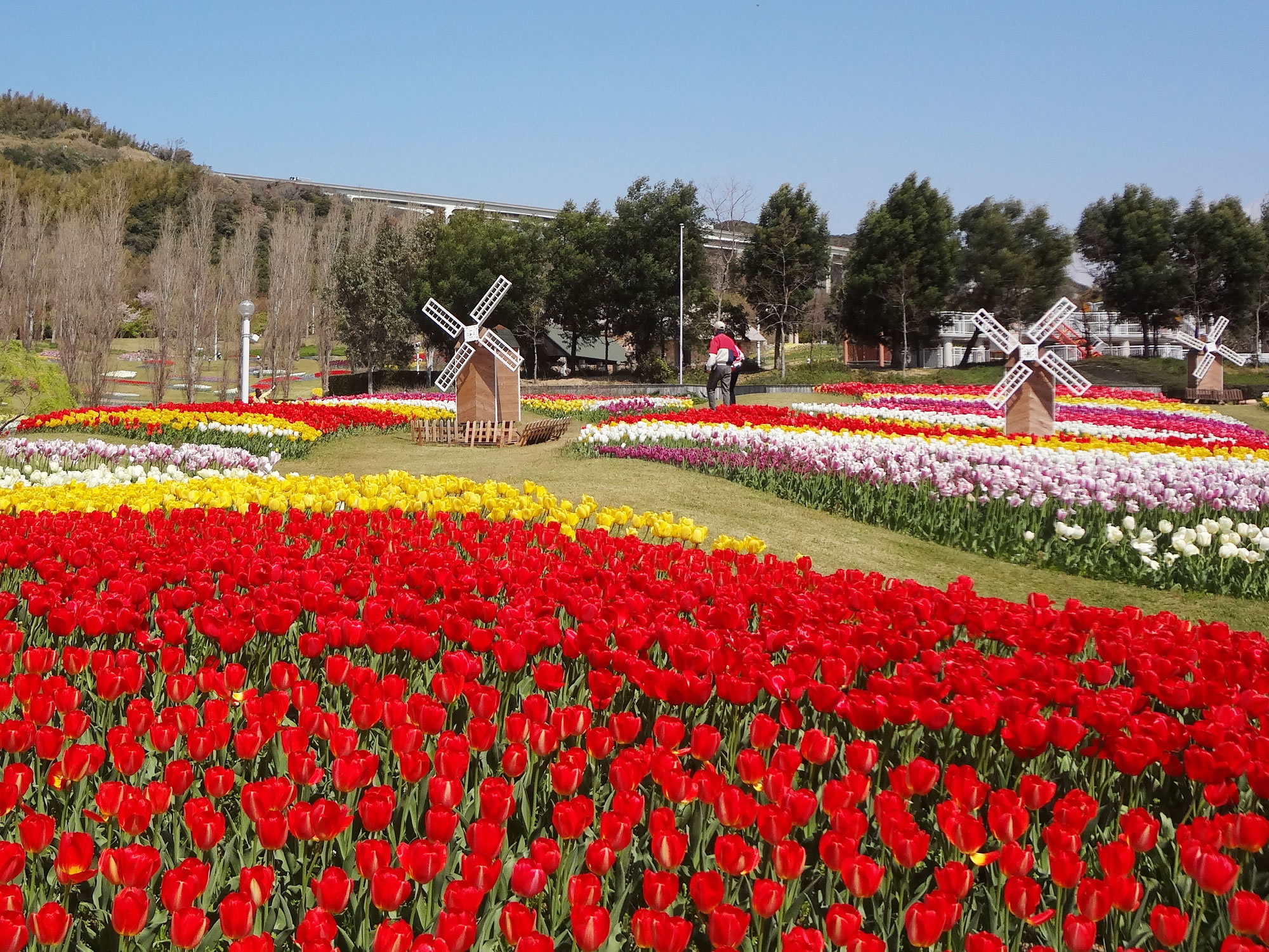 淡路島国営明石海峡公園